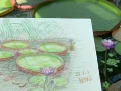 -国家植物园南园