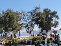 -阿弟特色海鲜餐厅·大排档(平潭店)