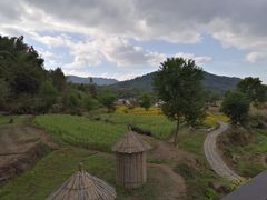 -塔川景区