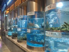 -老船舫·现做活鲜鱼馆(东郊记忆店)