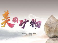 -中国地质博物馆