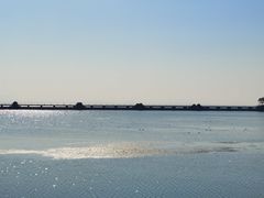 -贡湖湾湿地公园