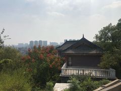 -伯先公园