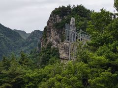 -牛背梁国家森林公园
