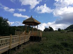 -白草畔自然风景区