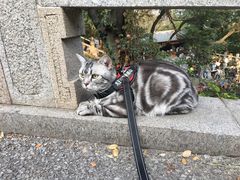 -穹窿山景区