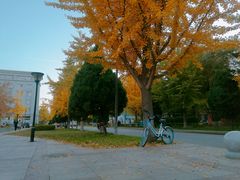 -东北大学(南湖校区)