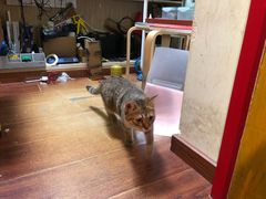 -H立方实景剧情密室(天河旗舰店)
