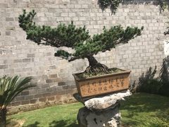 -宁波茶文化博物院