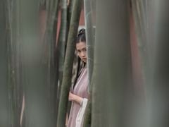 -望江楼公园