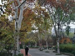 -西安市长乐公园