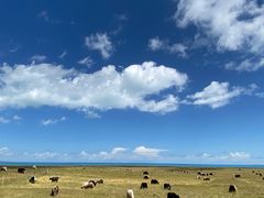-青海湖国家重点风景名胜区