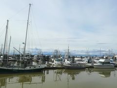 -Steveston Pizza Company (Richmond)