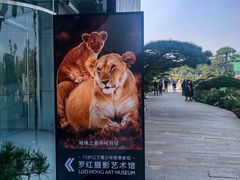 -罗红摄影艺术馆