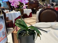 -金河半岛园林酒家(金融城店)