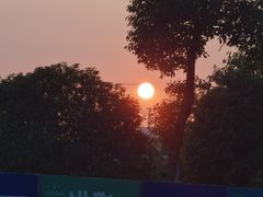 -洋湖国家湿地公园