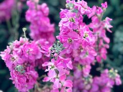 -老湘亲·品鉴湘菜(蔡塘爱琴海店)