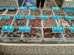 -双井轩(双井店)