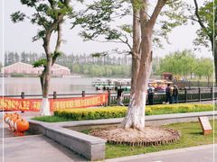 -上海长兴岛郊野公园