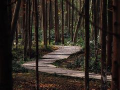 -桤木河湿地公园