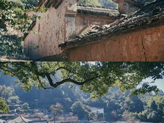 -杨家堂村