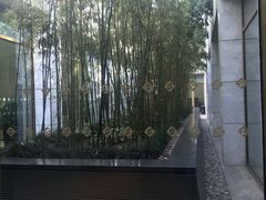-苏州金鸡湖大酒店