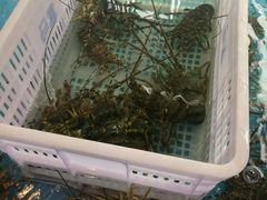 -盒马鲜生(宝地店)