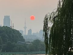 -紫金山山顶公园