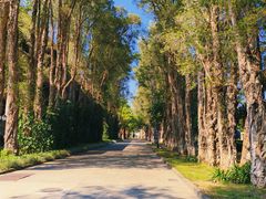 -广东外语外贸大学(白云山校区)