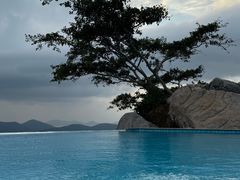 -三亚亚龙湾人间天堂鸟巢度假村