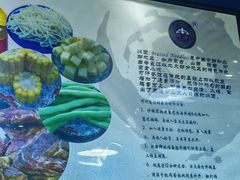 -内蒙焖面大盆骨餐馆(山大路店)