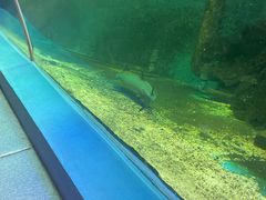 -北国之春国宴(乌兰察布店)