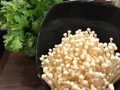 金针菇-舌尖记忆重庆火锅(悉尼店)