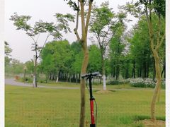 -上海长兴岛郊野公园