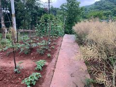 -四川农业大学(雅安校区)