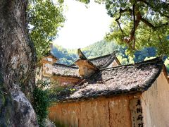-杨家堂村