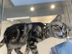 -萌兽医馆·眼科·异宠专科(三里屯店)