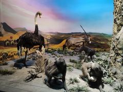 -国家自然博物馆