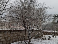 -北京西山国家森林公园