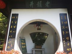 -十八棵（老龙井）御茶园(老龙井店)