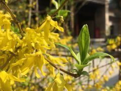 -西安关中民俗艺术博物院