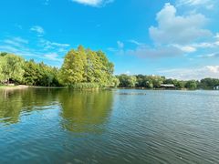 -上海共青森林公园