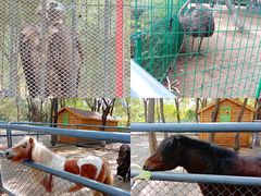 -长白岛森林公园