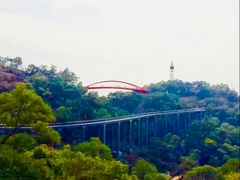 -金鸡山公园