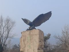 -北京鹫峰国家森林公园