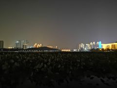 -月湖风景区