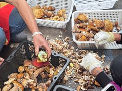 -草墩罗非鱼庄•野生菌•腊排骨(七星街上段店)