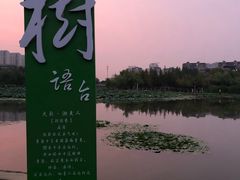 -前关湿地公园