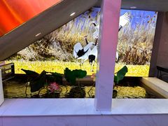 -杨记齐齐哈尔烤肉(总店)