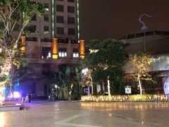 灯光秀？？？？-灵玲国际马戏城